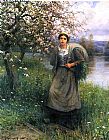 Apple Blossoms in Normandy by Daniel Ridgway Knight